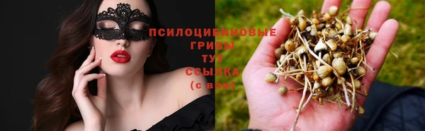таблы Алексин